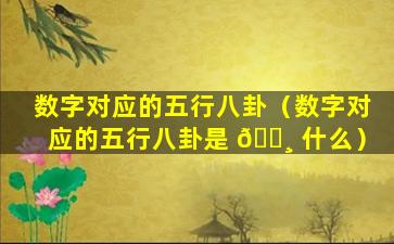 数字对应的五行八卦（数字对应的五行八卦是 🌸 什么）